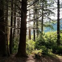OLD MINERS MEADOW GROUP USE ico