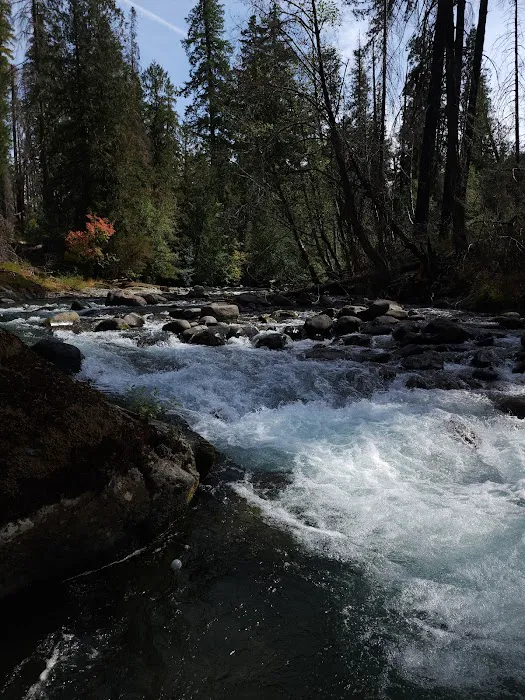 Cleator Bend Campground Picture 4