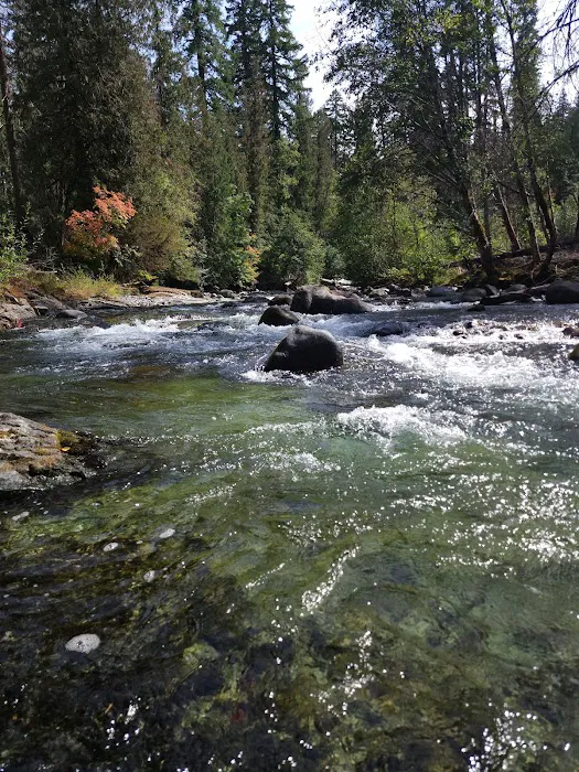 Cleator Bend Campground Picture 5