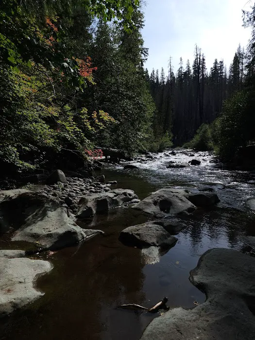 Cleator Bend Campground Picture 3