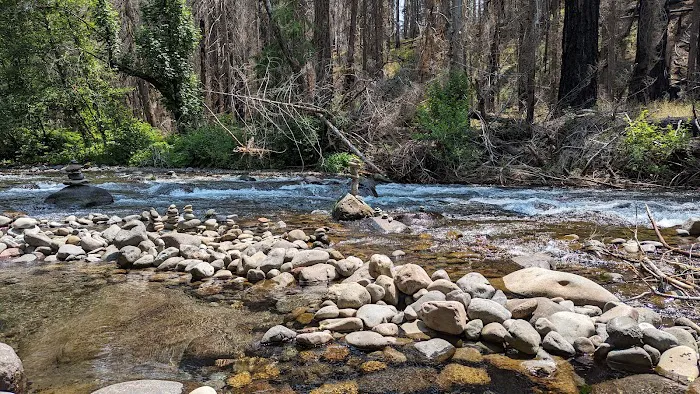 Breitenbush Campground Picture 1