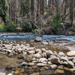 Breitenbush Campground