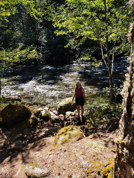 Breitenbush Campground Picture 8