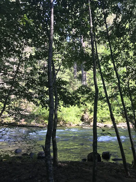 Breitenbush Campground Picture 10