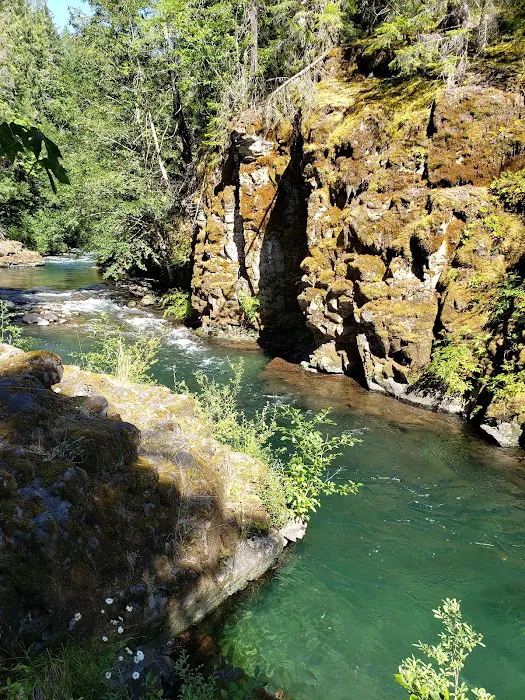Breitenbush Campground Picture 2