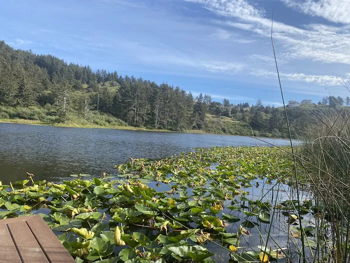 The Lake Pasture Picture 3