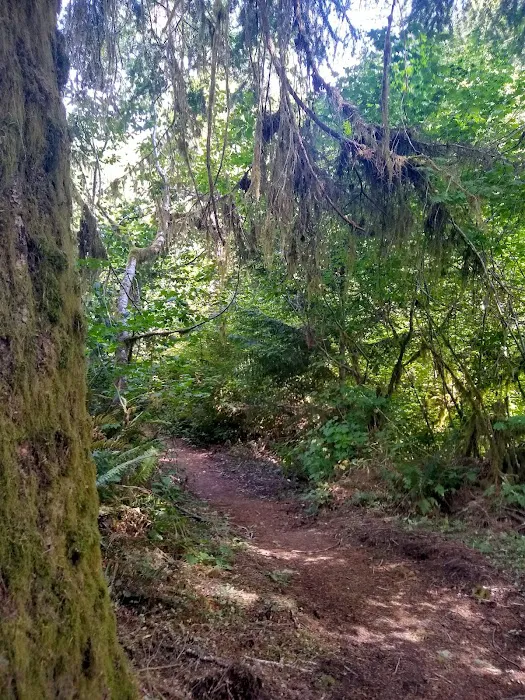 Big Buck Campground Picture 7