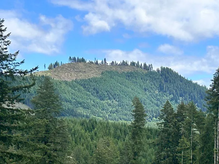 Big Buck Campground Picture 1