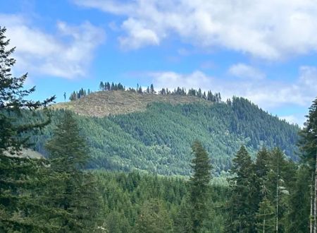 Big Buck Campground