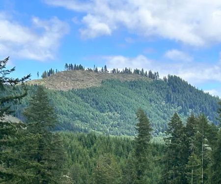Big Buck Campground