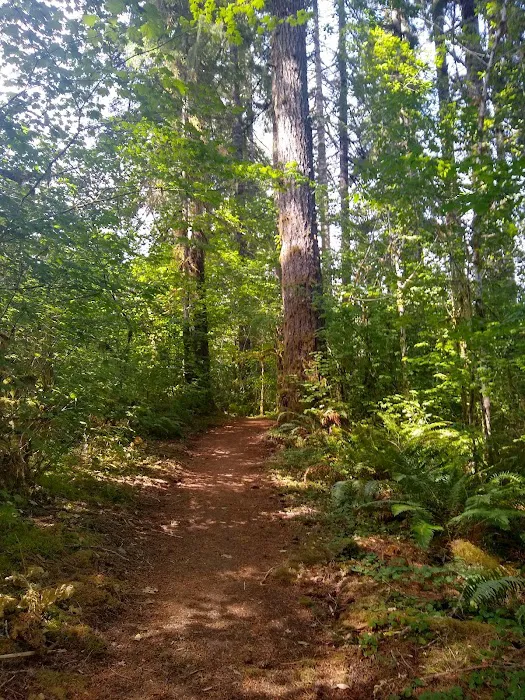 Big Buck Campground Picture 9