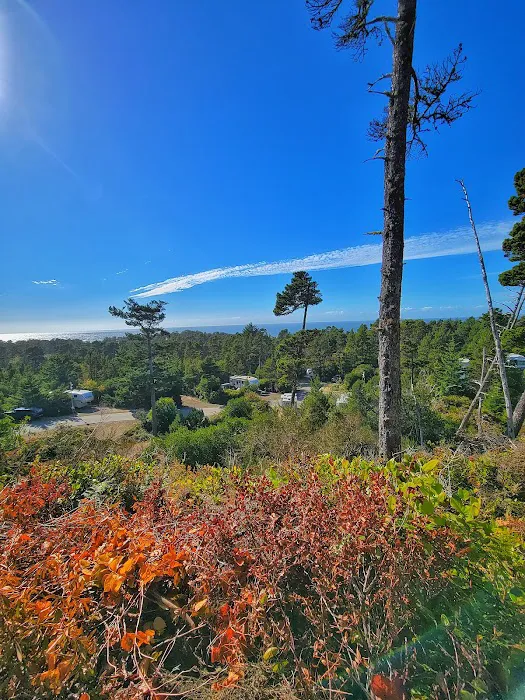 Thousand Trails Pacific City Picture 10