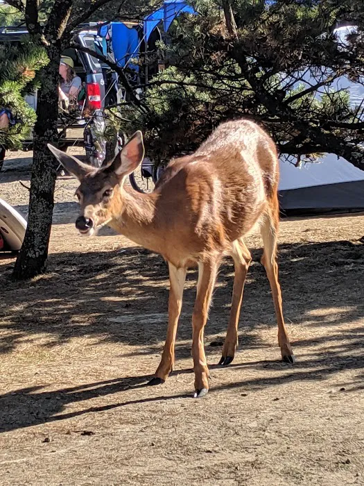 Webb County Campground Picture 6