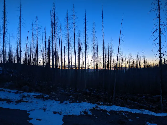 Deer Creek Forest Camp Picture 5