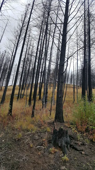 Deer Creek Forest Camp Picture 7