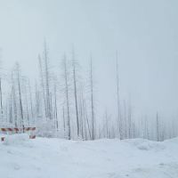 Deer Creek Forest Camp ico