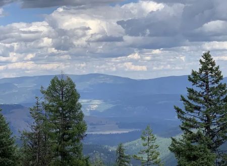 Davis Lake Campground