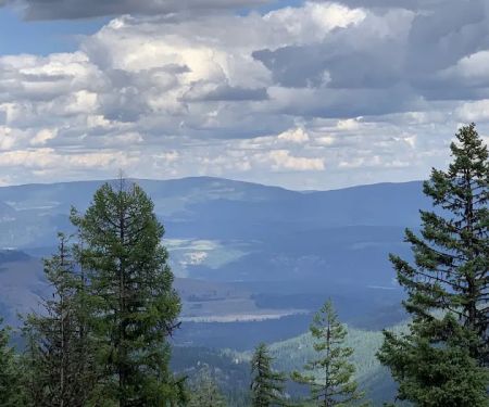 Davis Lake Campground