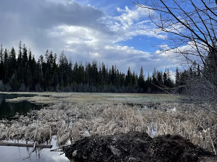 Davis Lake Campground Picture 8