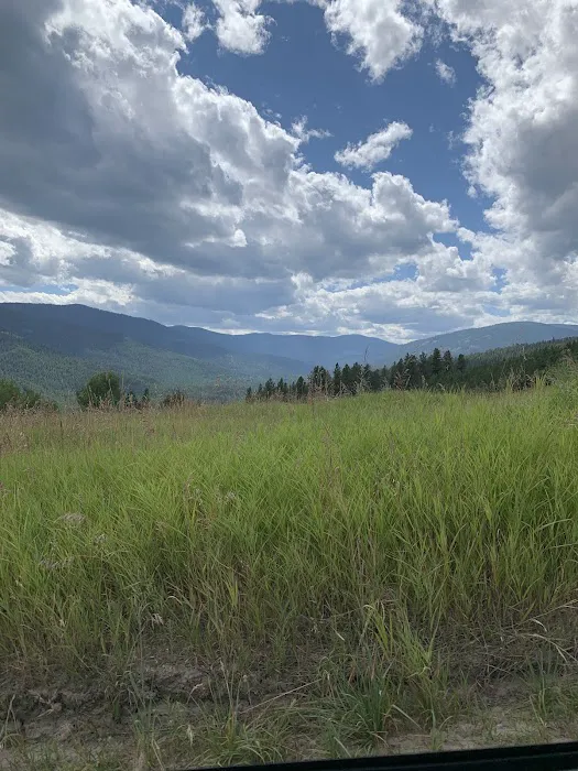 Davis Lake Campground Picture 5