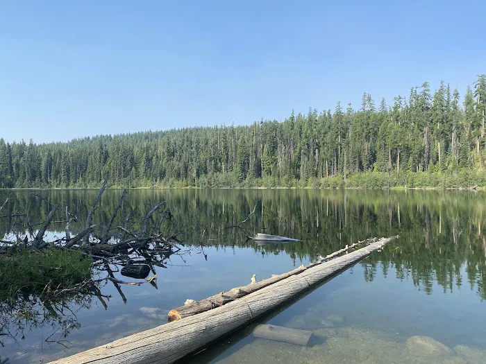 Davis Lake Campground Picture 4