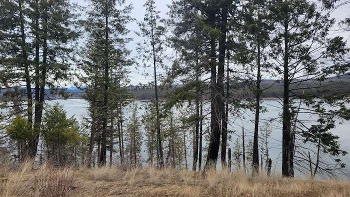 South shore boat in camp site Picture 5
