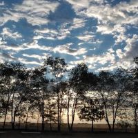 The Oasis Farm ico
