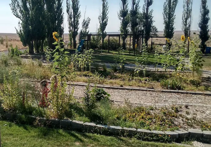 The Oasis Farm Picture 9