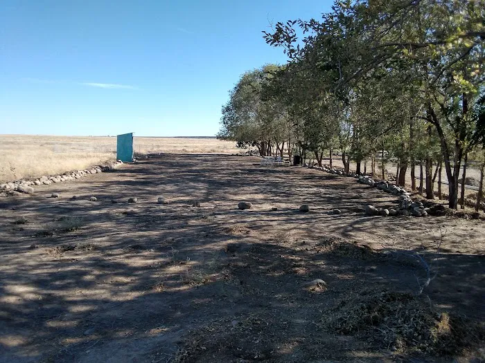 The Oasis Farm Picture 4