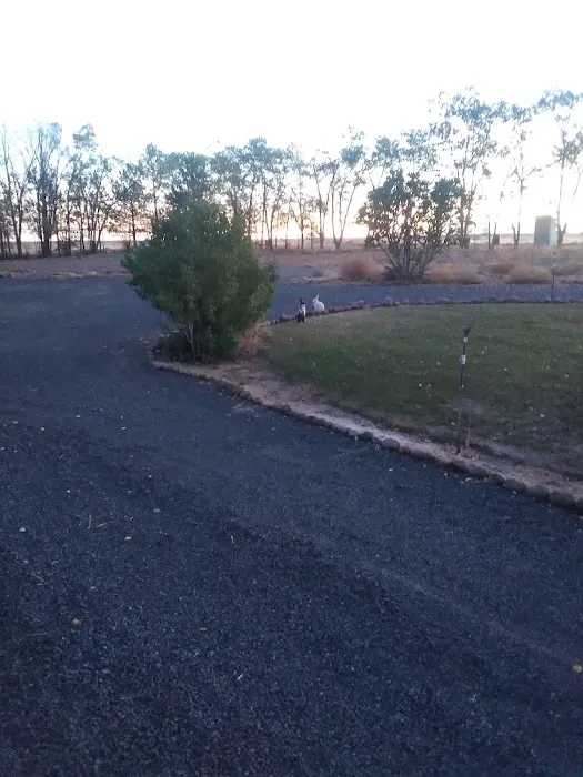 The Oasis Farm Picture 3