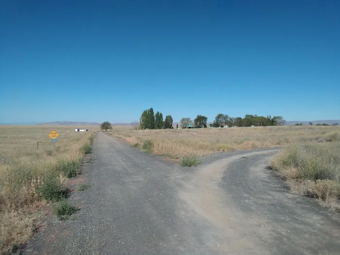 The Oasis Farm Picture 2