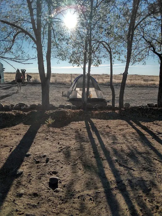 The Oasis Farm Picture 8