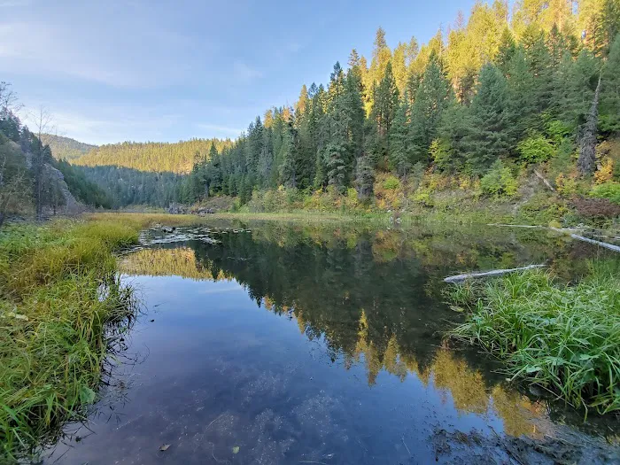 Trout Lake Campground Picture 9