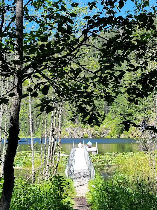 Trout Lake Campground Picture 2