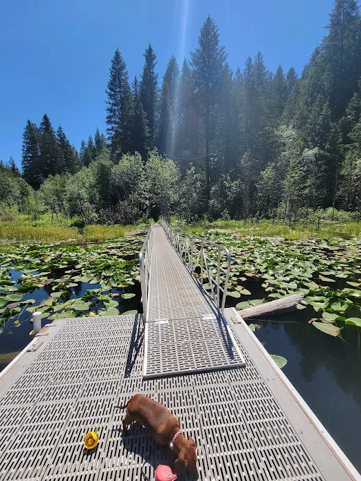 Trout Lake Campground Picture 1