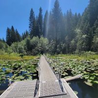 Trout Lake Campground ico