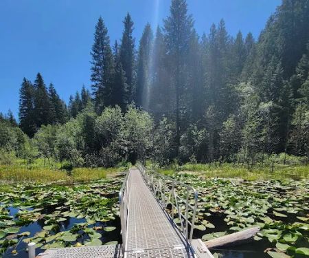 Trout Lake Campground