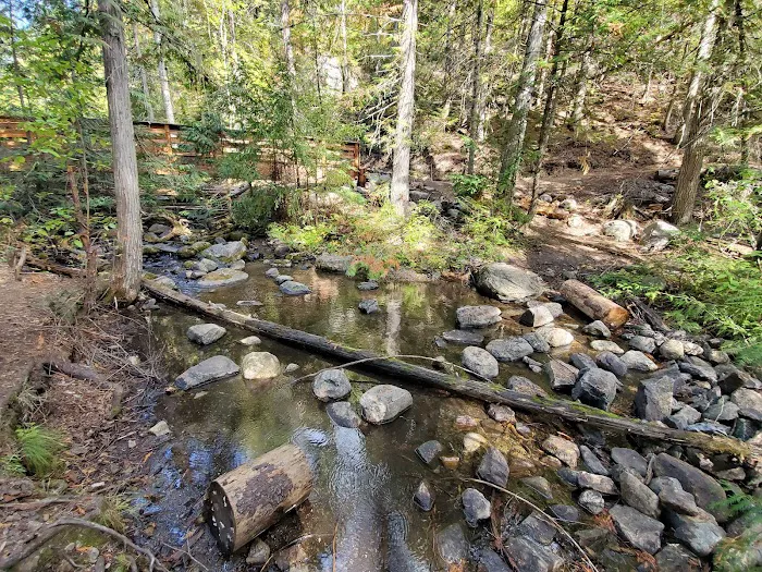 Trout Lake Campground Picture 7