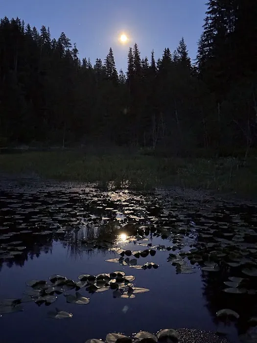 Trout Lake Campground Picture 5