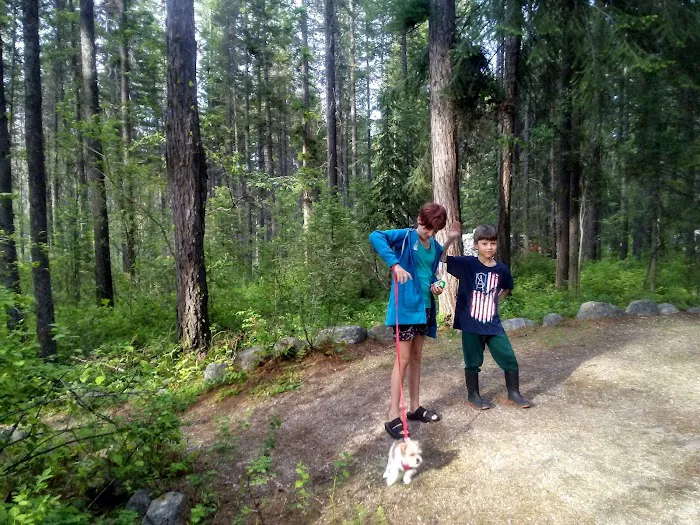 Canyon Creek Campground Picture 4