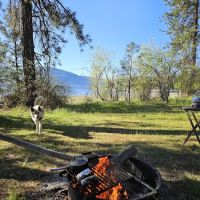 Haag Cove Campground ico