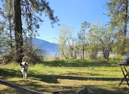 Haag Cove Campground