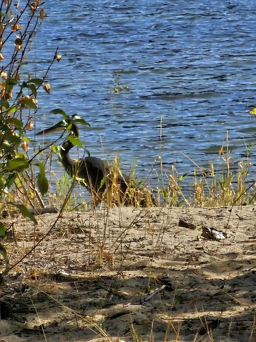 Haag Cove Campground Picture 8