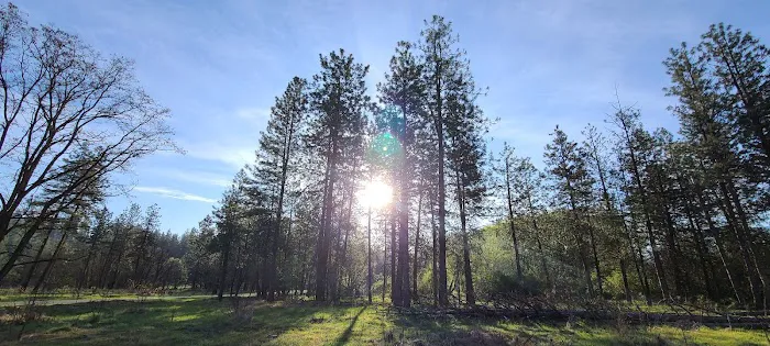 Kettle Falls Locust Grove Group Site Campground Picture 4
