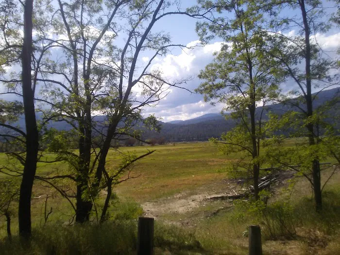 Kettle Falls Locust Grove Group Site Campground Picture 2