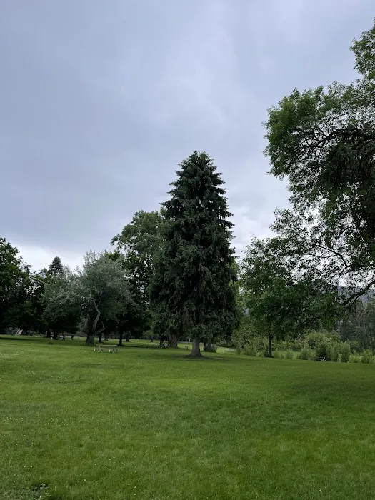 Old Kettle Falls Picnic Area Picture 2