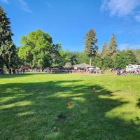 Old Kettle Falls Picnic Area ico