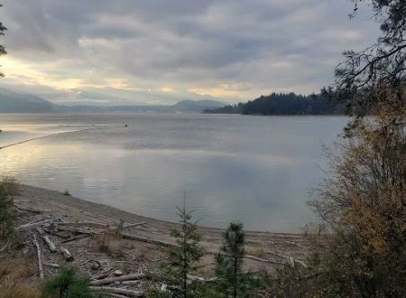 Kamloops Island Campground