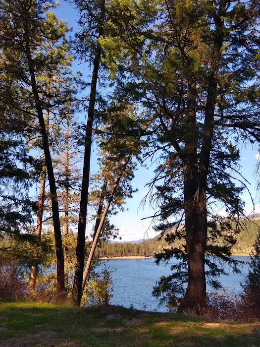 Kamloops Island Campground Picture 6