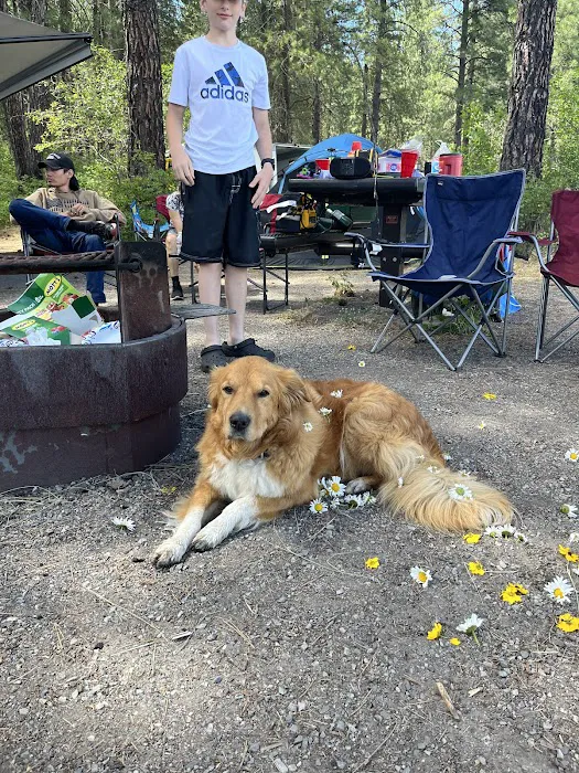 Snag Cove Campground Picture 5